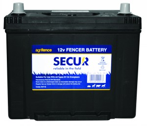 Agrifence 12v Rechargeable Fencer/leisure Battery